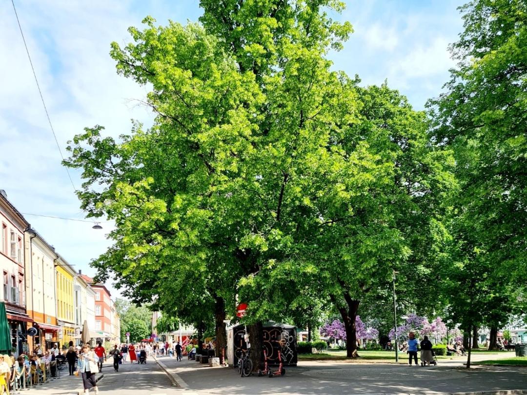 Modern Central Apartment Next To Beautiful Nature2424 Oslo Bagian luar foto